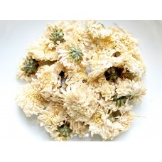 Chrysanthemum Tea (White) Herbal Tea